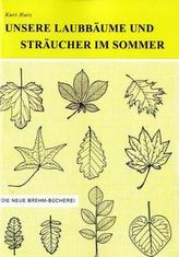 Unsere Laubbäume und Sträucher im Sommer