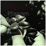 Magische Pflanzenwege