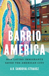  Barrio America