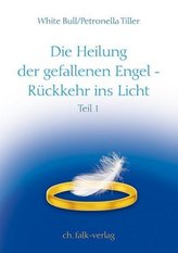 Die Heilung der gefallenen Engel - Rückkehr ins Licht. Tl.1