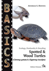 Spotted Turtle and North American Wood Turtle