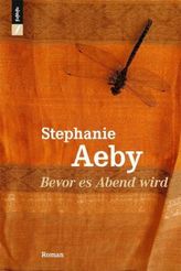 Bevor es Abend wird