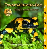 Feuersalamander