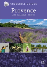 Provence