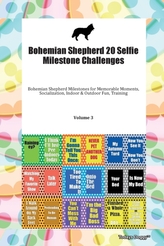  Bohemian Shepherd 20 Selfie Milestone Challenges Bohemian Shepherd Milestones for Memorable Moments, Socialization, Indo