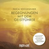 Begegnungen mit dem Geistführer, 1 Audio-CD