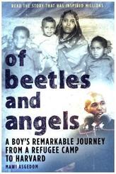 Of Beetles and Angels