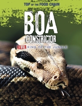  Boa Constrictor