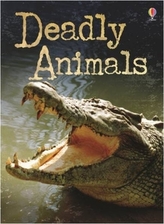 Deadly Animals