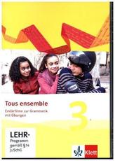 Erklärfilme zur Grammatik mit Übungen, 1 CD-ROM