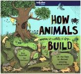 How Animals Build