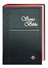 Bibel Spanisch - Santa Biblia, Übersetzung De Reina, Traditionelle Übersetzung