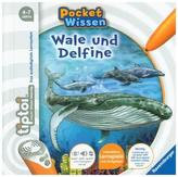 Wale und Delfine