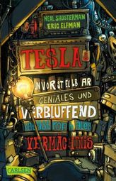 Teslas unvorstellbar geniales und verblüffend katastrophales Vermächtnis