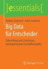 Big Data für Entscheider