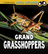  Grand Grasshoppers