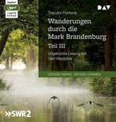Wanderungen durch die Mark Brandenburg. Tl.3, 1 MP3-CD