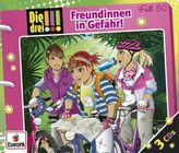 Die drei !!! - Freundinnen in Gefahr, 3 Audio-CDs