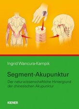 Segment-Akupunktur