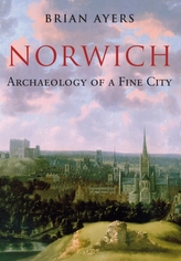  Norwich Archaeology of a Fine City