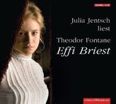 Effi Briest, 4 Audio-CDs