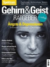 Ängste und Depressionen