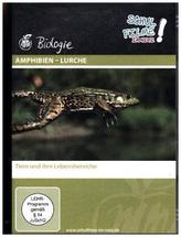 Amphibien - Lurche, 1 DVD