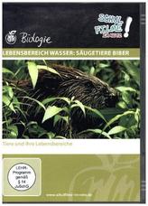 Lebensbereich Wasser: Säugetiere Biber, 1 DVD