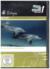 Delfine, 1 DVD