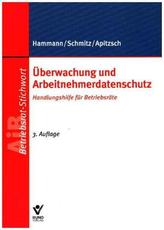 Überwachung und Arbeitnehmerdatenschutz