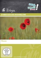 Symbiosen der Mohnblume, 1 DVD