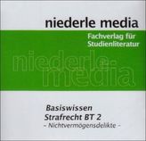 Basiswissen Strafrecht BT 2 - Nichtvermögensdelikte, Audio-CD