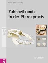 Zahnheilkunde in der Pferdepraxis