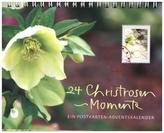 24 Christrosen-Momente