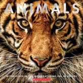  Animals