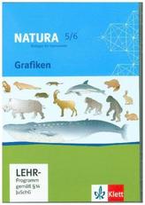5./6. Schuljahr, Grafiken auf CD-ROM