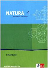 5./6. Schuljahr, Lehrerband mit CD-ROM (G8)