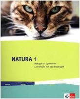 5./6. Schuljahr, Lehrerband mit Kopiervorlagen mit DVD-ROM