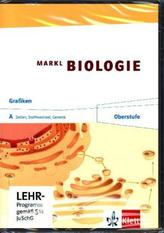 11./12. Schuljahr, Grafik-CD-ROM. Tl.A