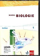 5.-10. Schuljahr, Grafik-CD-ROM