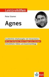 Lektürehilfen Peter Stamm Agnes