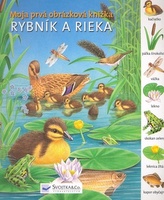 Rybník a rieka