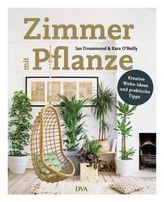 Zimmer mit Pflanze