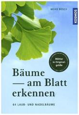 Bäume am Blatt erkennen