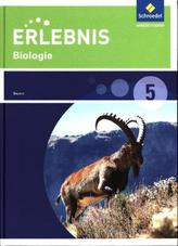 5. Schuljahr, Schülerband