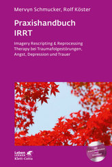 Praxishandbuch IRRT