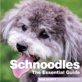  Schnoodles