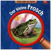 Von nah zu fern! Der kleine Frosch