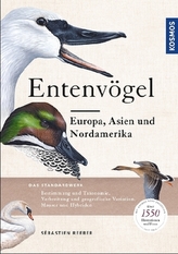Entenvögel