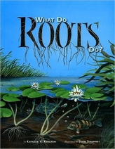  What Do Roots Do?